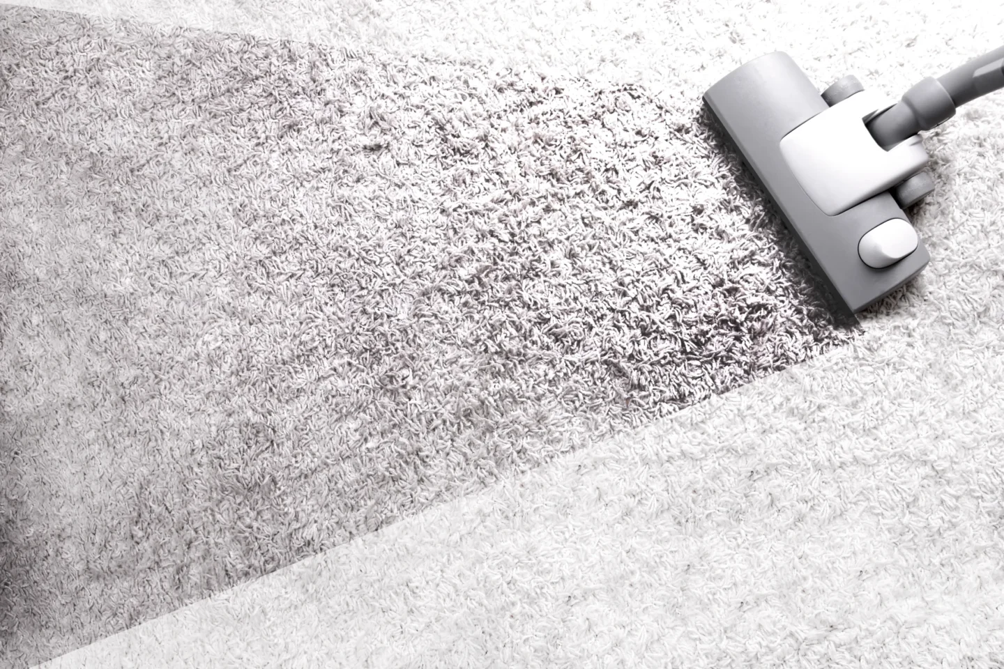 carpet cleaning to prevent allergies Belleville, IL