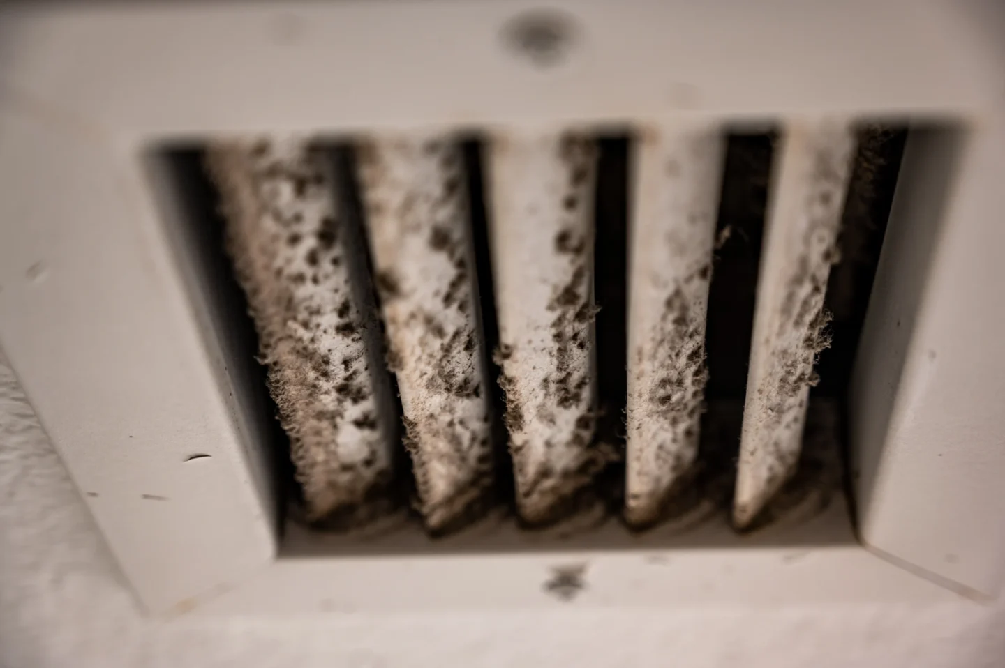 types of mold in air ducts Fairview Heights, IL