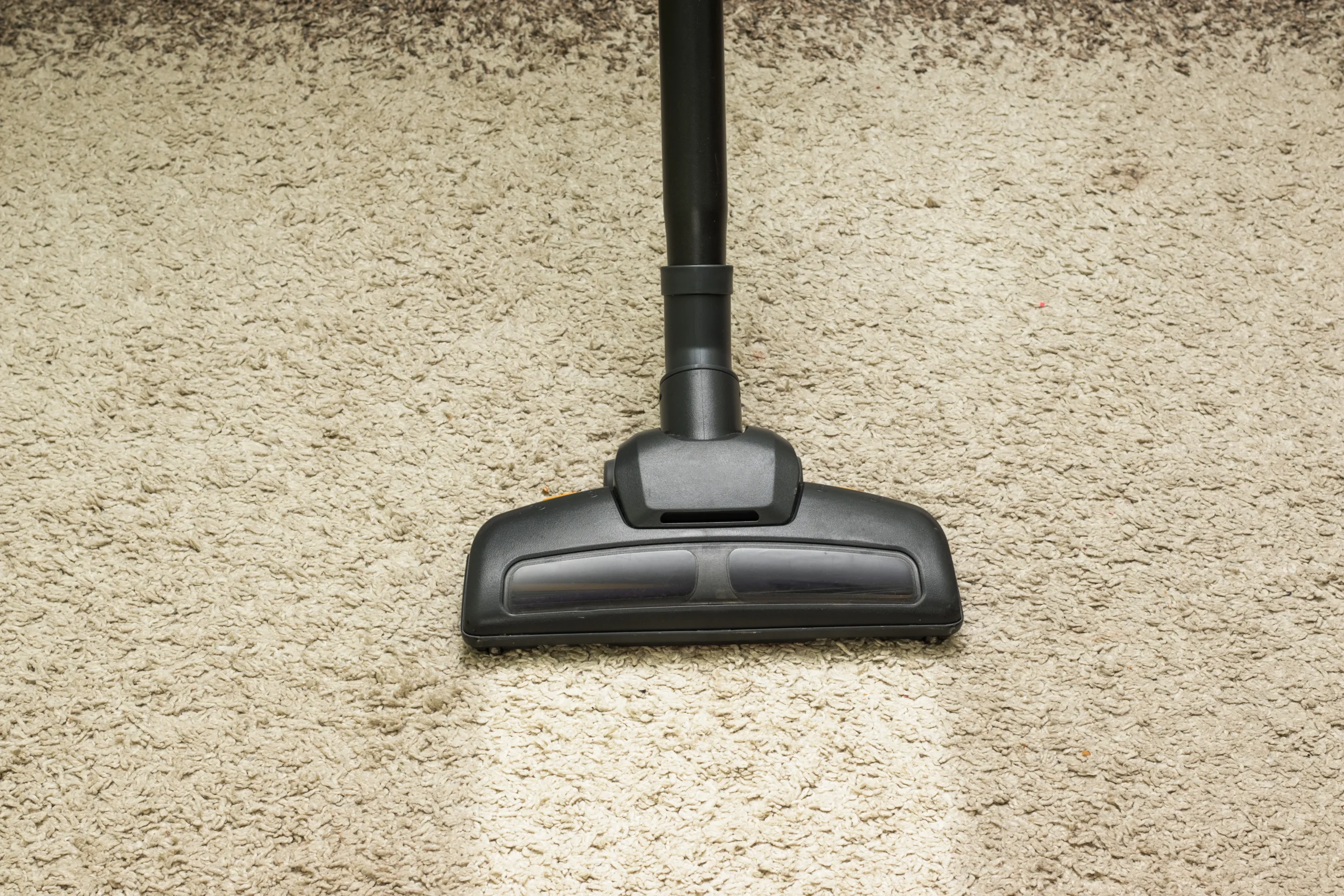 Carpet Cleaning